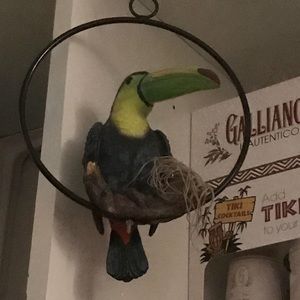 Meet your Posher, Molly